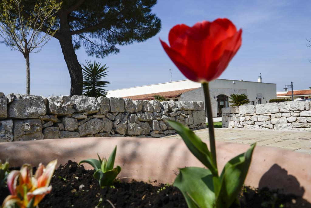 Hotel Masseria Gravelle à Turi Extérieur photo