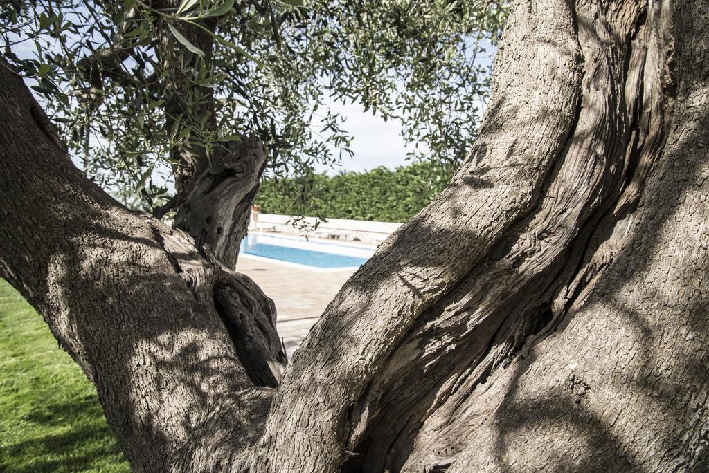 Hotel Masseria Gravelle à Turi Extérieur photo